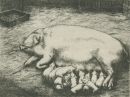 Paul Käberer: Mutterschwein - Thumbnail