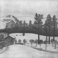 Winter auf der Alb, 1930